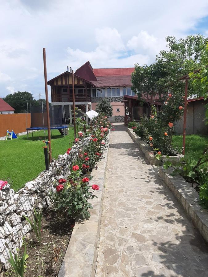 ホテル Casa Luca Sîmbăta de Sus エクステリア 写真
